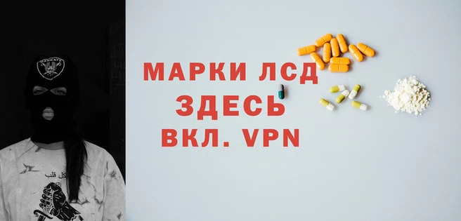 гашик Козловка