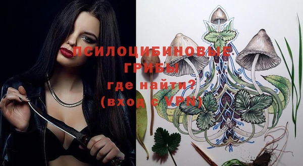 спиды Коряжма