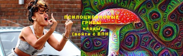 прущий лед Костерёво
